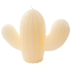 Desme Bougie en paraffine